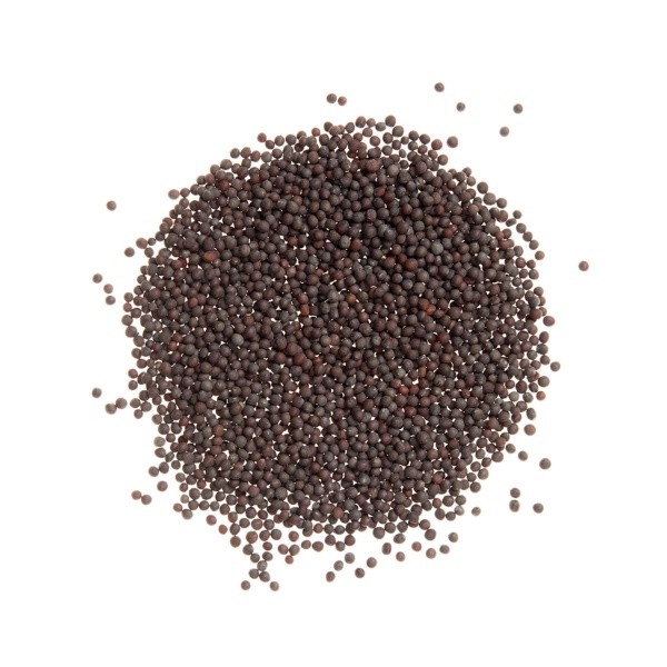 Black Mustard Seeds Whole (Rai / Kala Sarso): The Tiny Seed with Big Benefits | 100 Gm